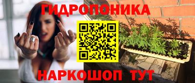 крисы Татарск