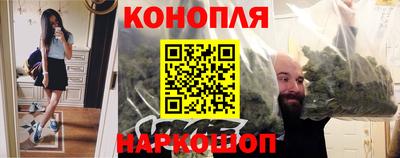 крисы Татарск