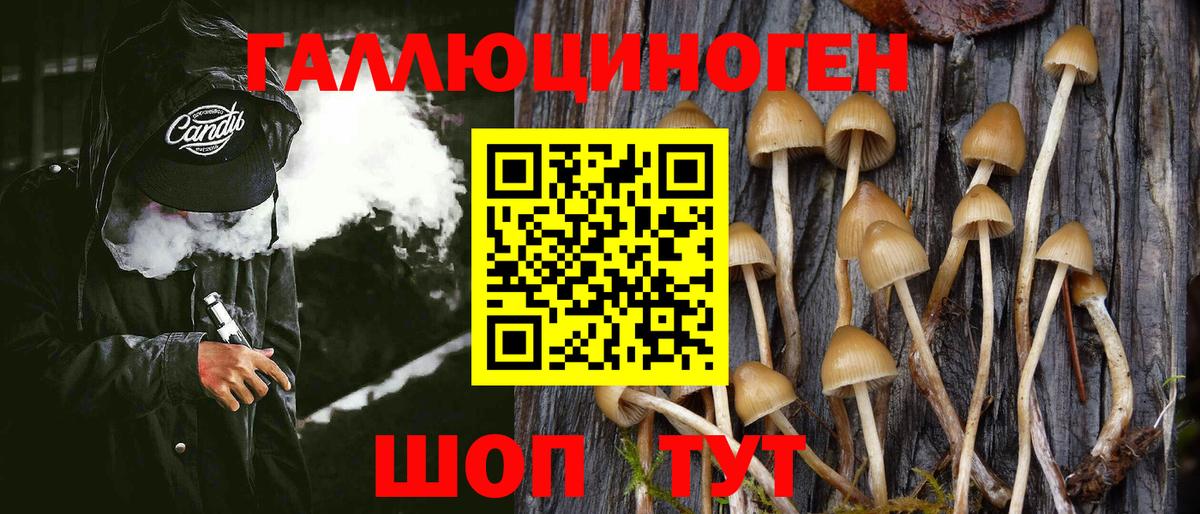 Псилоцибиновые грибы MAGIC MUSHROOMS Ногинск
