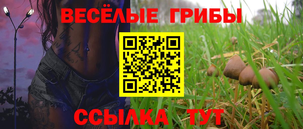 Ногинск  Галлюциногенные грибы Cubensis  Галлюциногенные грибы Cubensis  Вход с VPN 